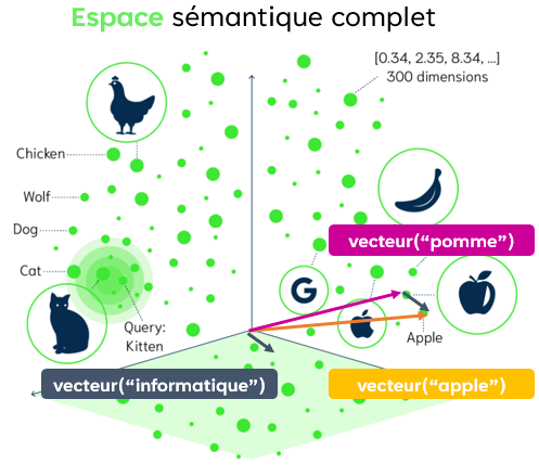 Représentation schématique d'un espace sémantique complet