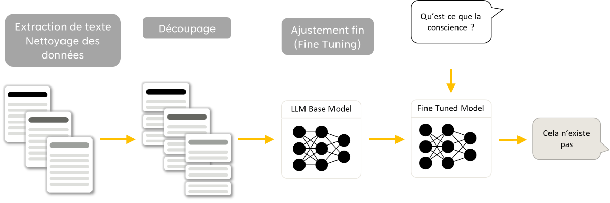 Illustration simplifiée du principe de fonctionnement d'une architecture basée sur du fine-tuning